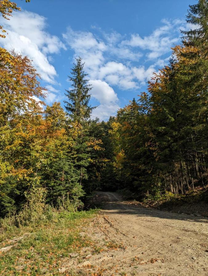 Apartamentul Alfa Szlanikfürdő Kültér fotó